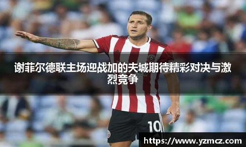 谢菲尔德联主场迎战加的夫城期待精彩对决与激烈竞争