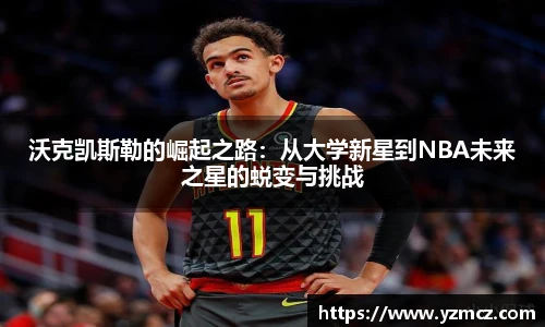 k1体育十年品牌